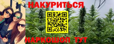 тгк Краснодар