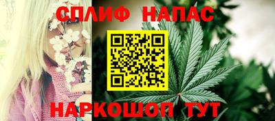 тгк Краснодар