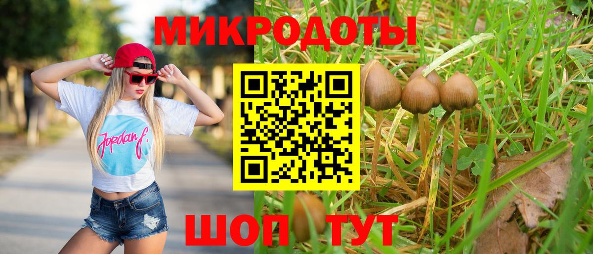 Псилоцибиновые грибы Cubensis Щёлково